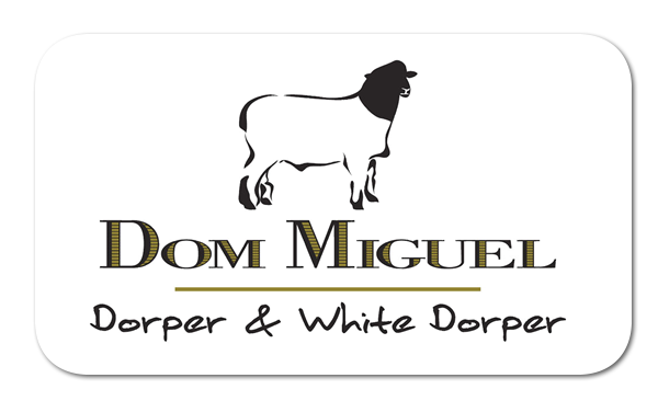 Logo - Dom Miguel